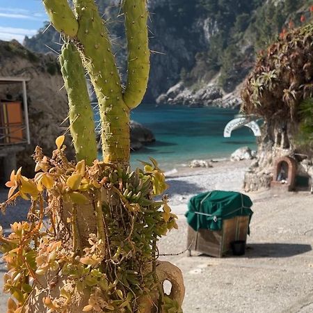 Capri Magic House On The Beach Zewnętrze zdjęcie