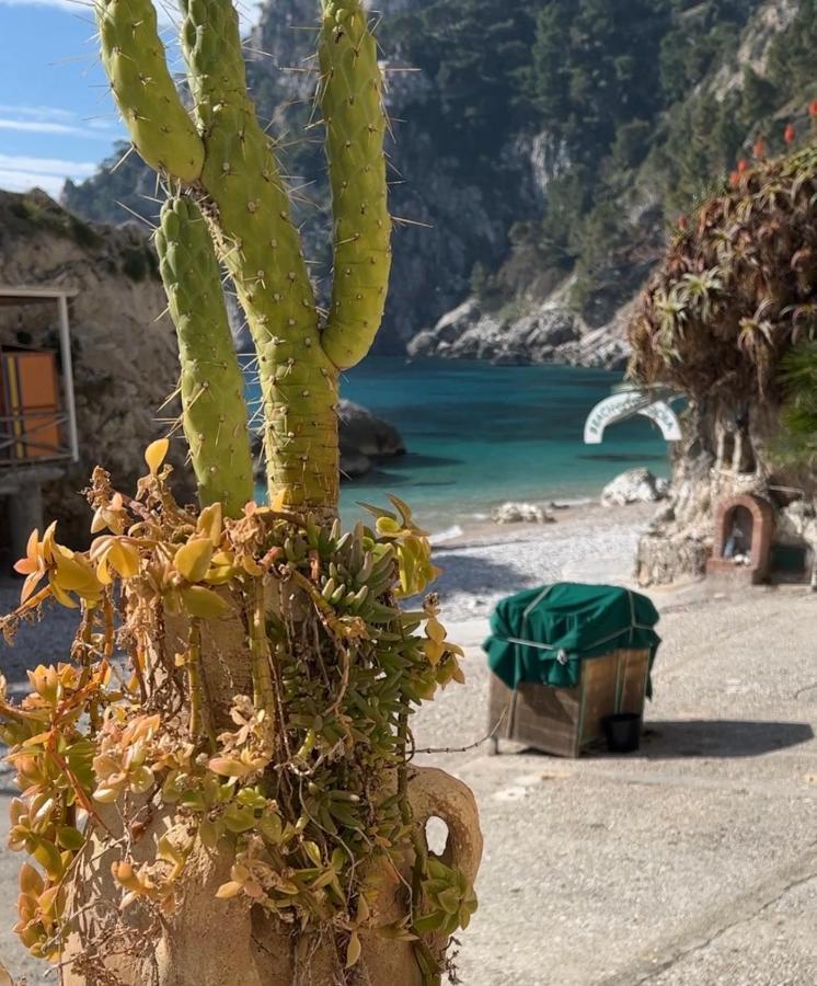Capri Magic House On The Beach Zewnętrze zdjęcie